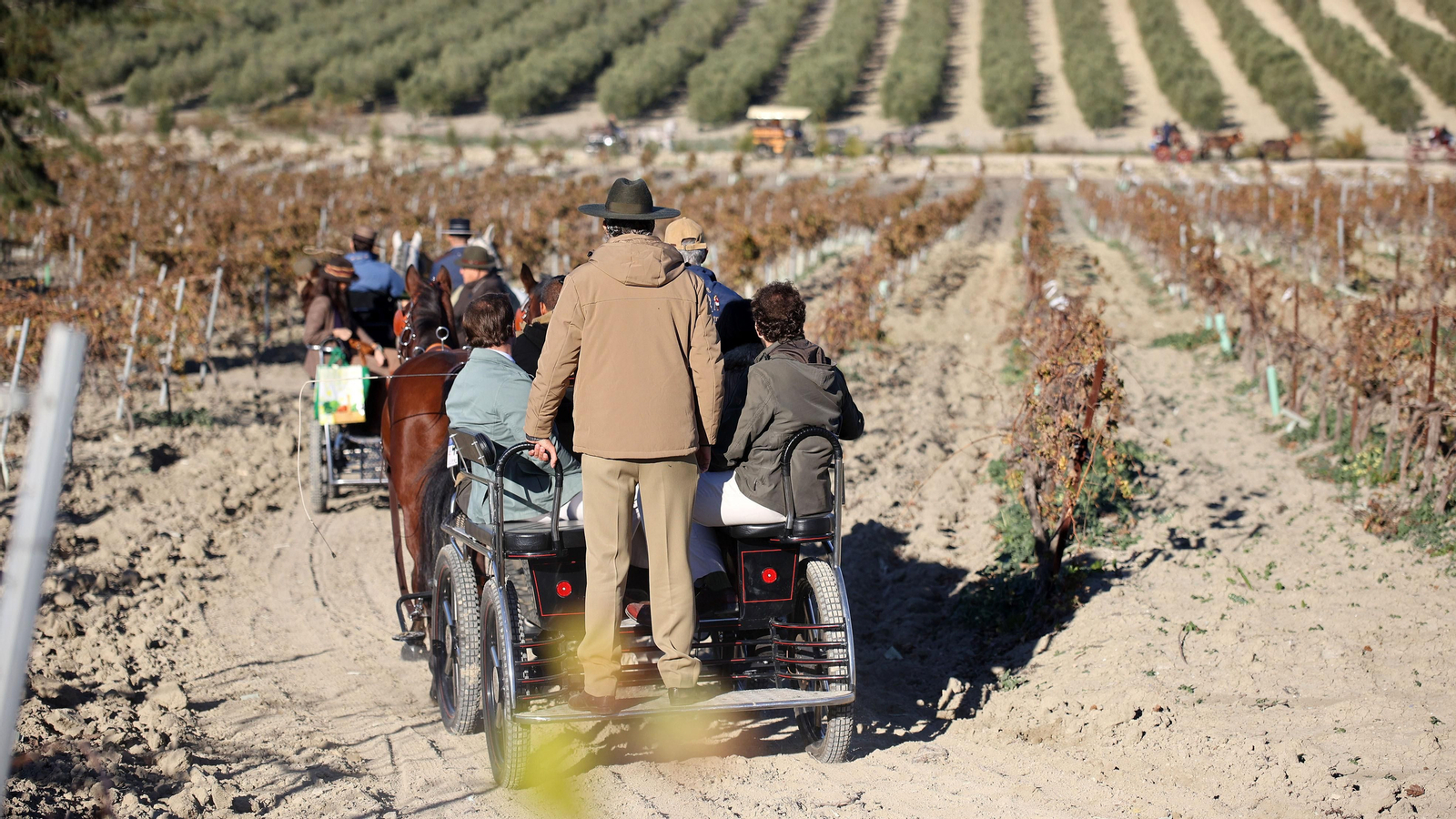 II Ruta Viñas de Jerez