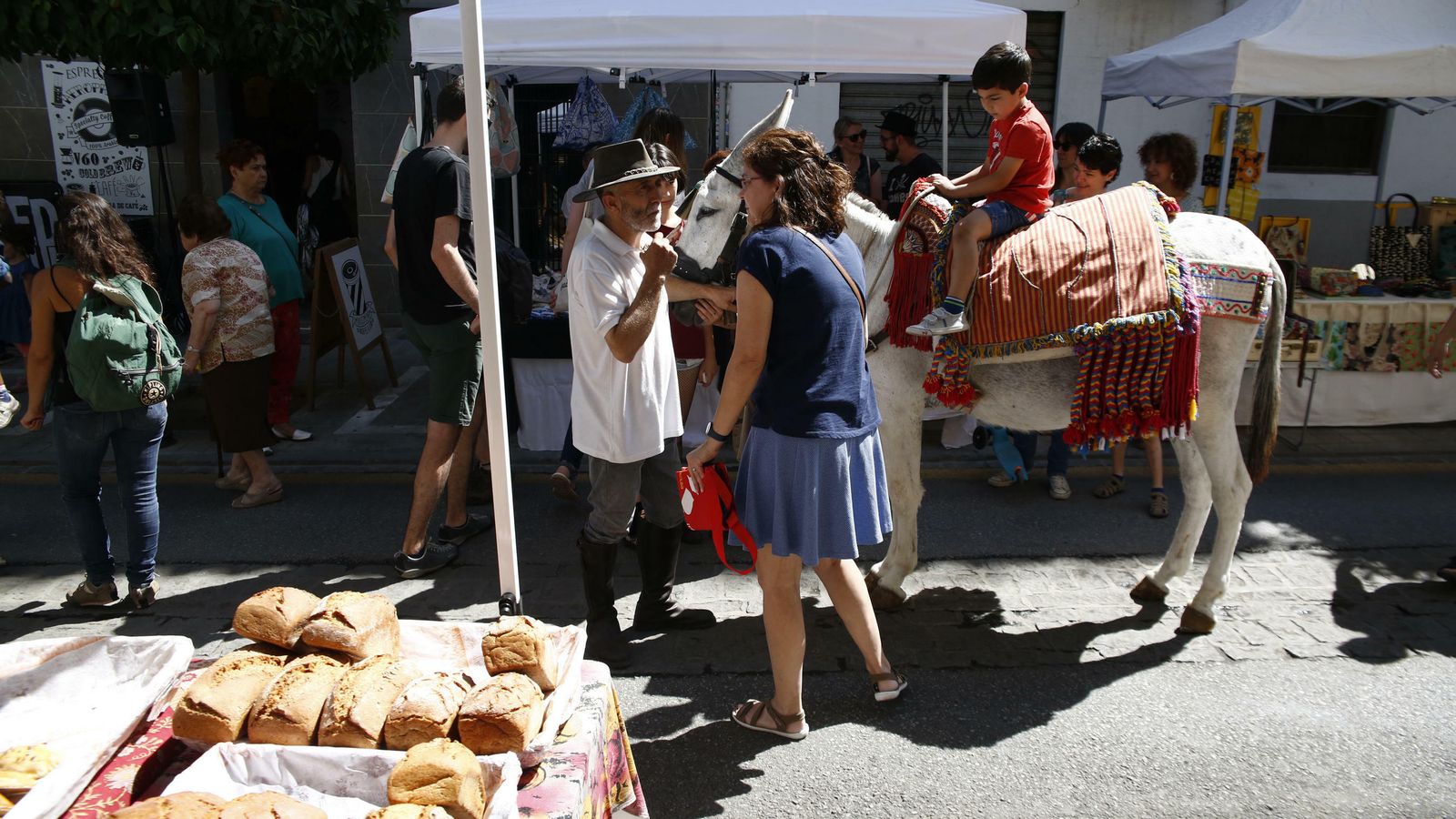 Un chiquillo pasea en burro con motivo de la iniciativa Vive tu calle.