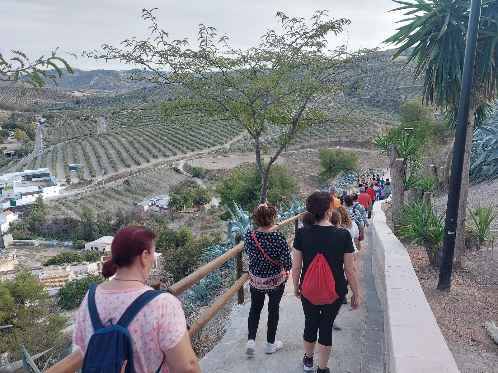 Algunos de los participantes en la ruta inaugural la Ladera Sur de Baena tras su mejora.
