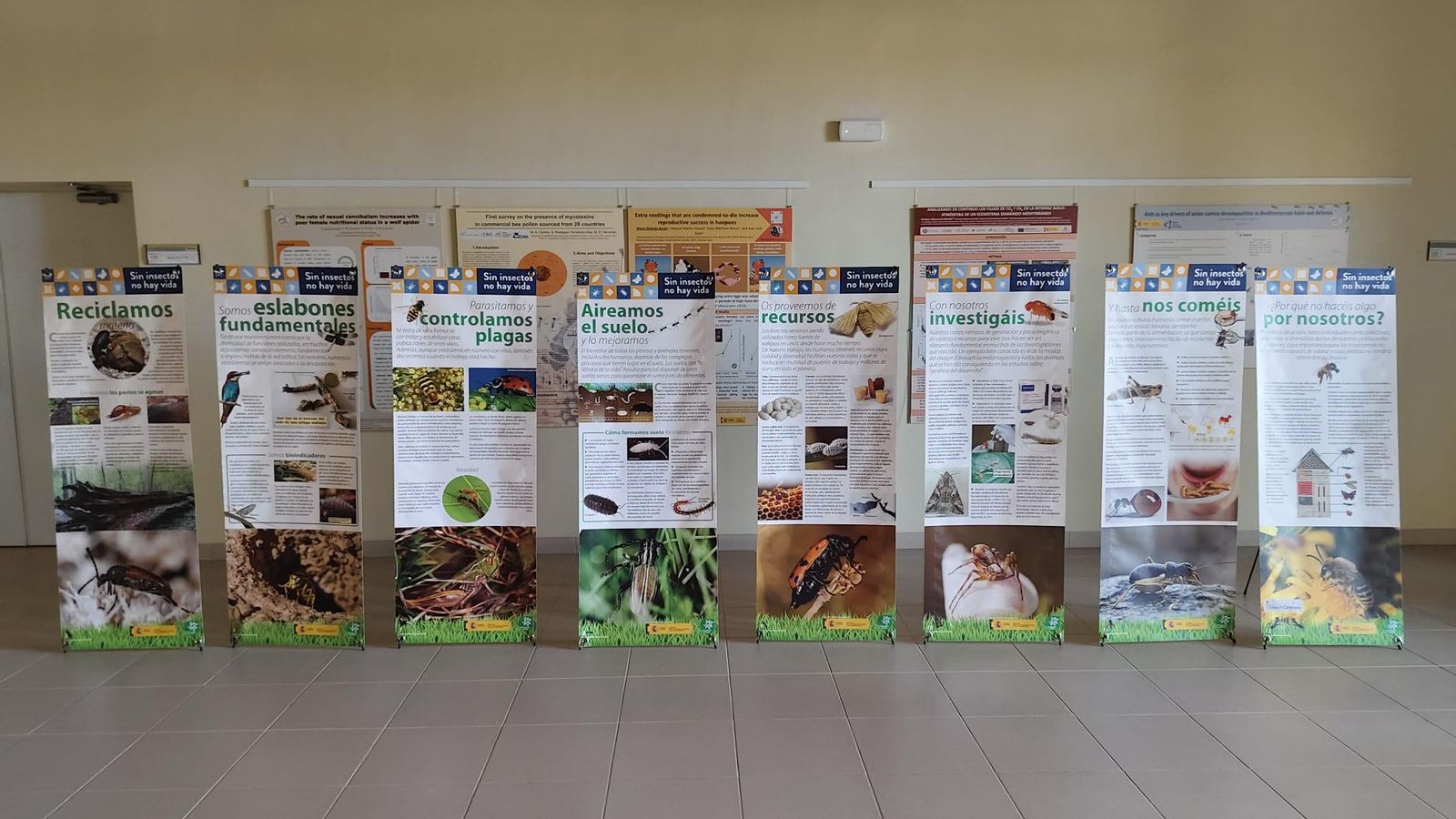 Paneles informativos en la exposición sobre insectos.