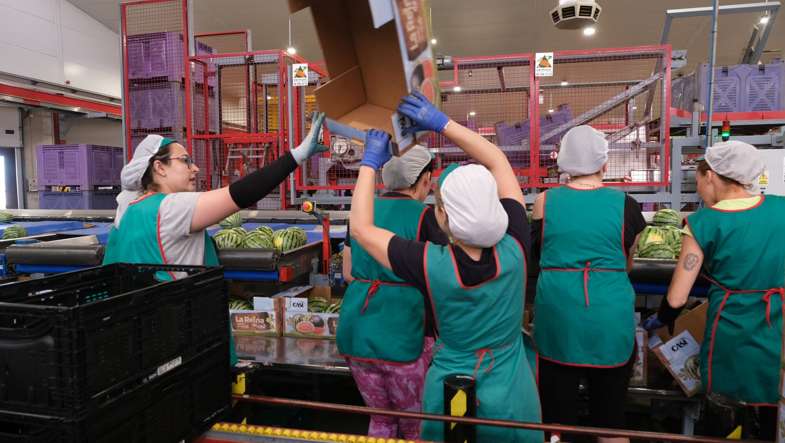 La IA llega a CASI, en imágenes