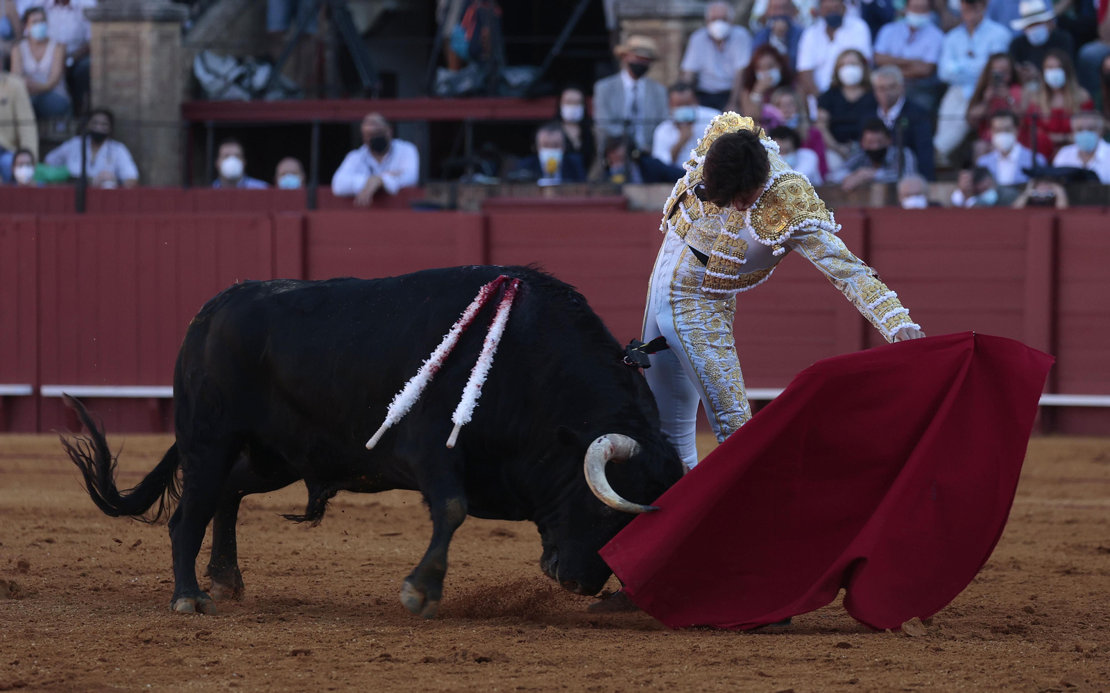 Las imágenes del primer festejo de San Miguel