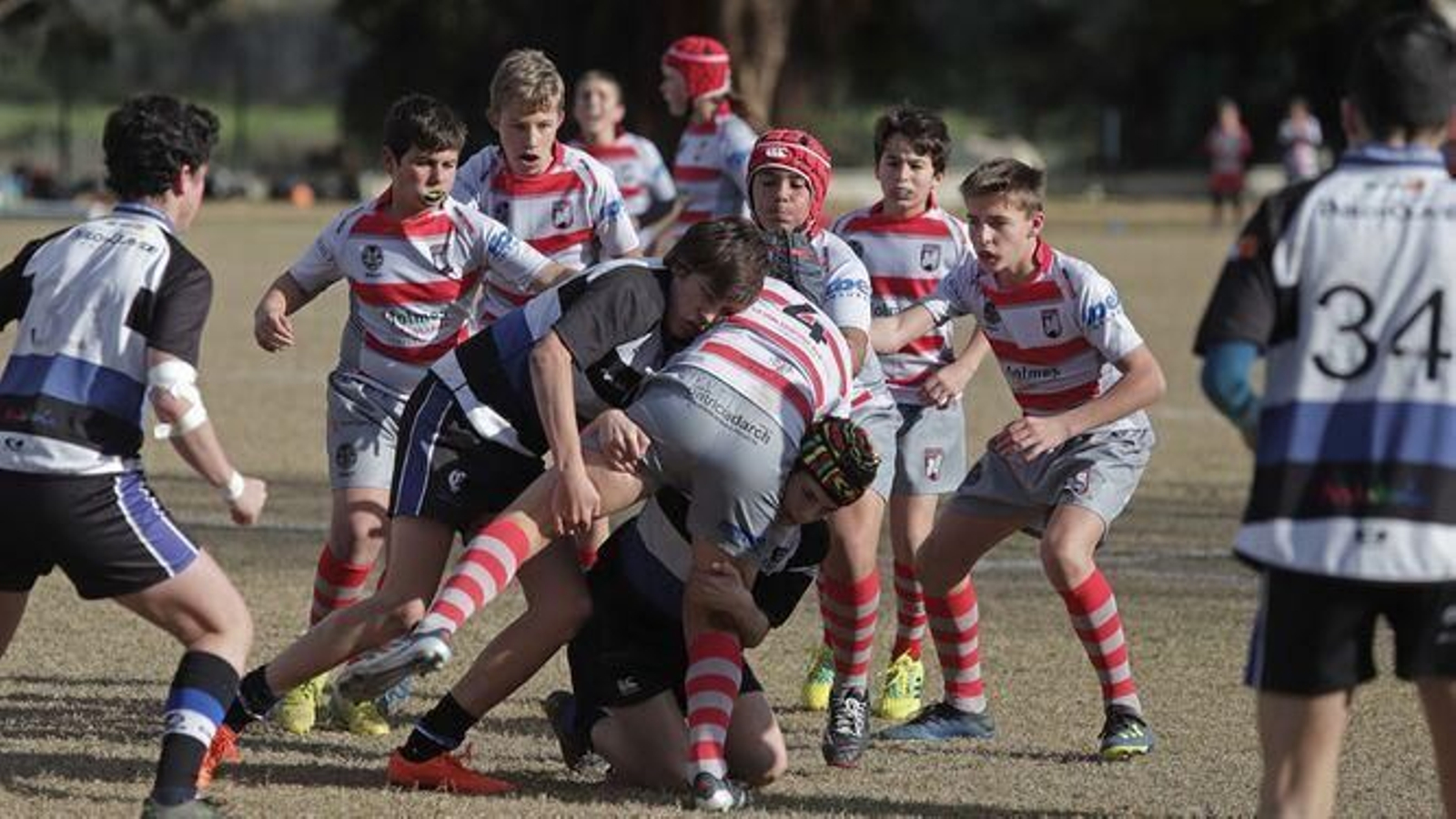 Un encuentro de rugby entre niños en Pueblo Nuevo de Guadiaro.
