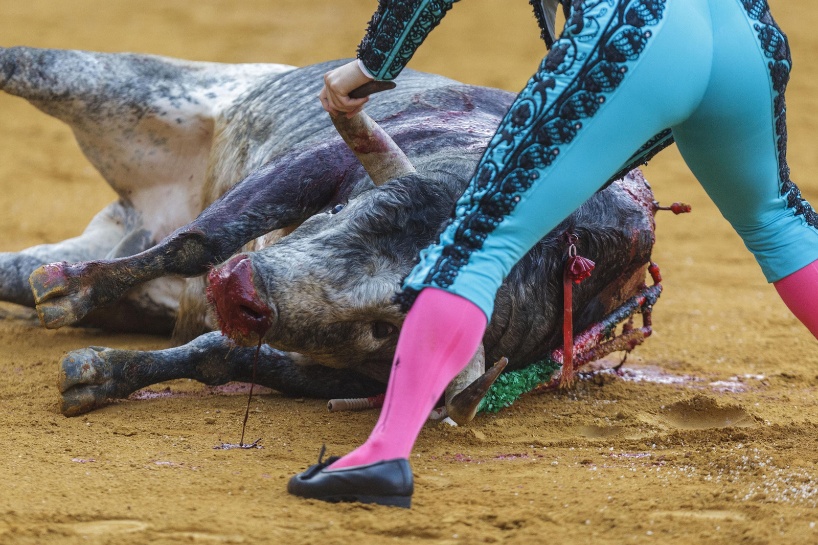 Las imágenes de la tarde de toros del domingo en El Puerto