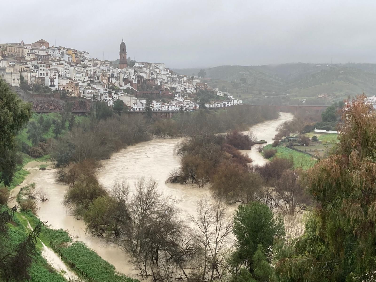 Meandro del Guadalquivir en Montoro.