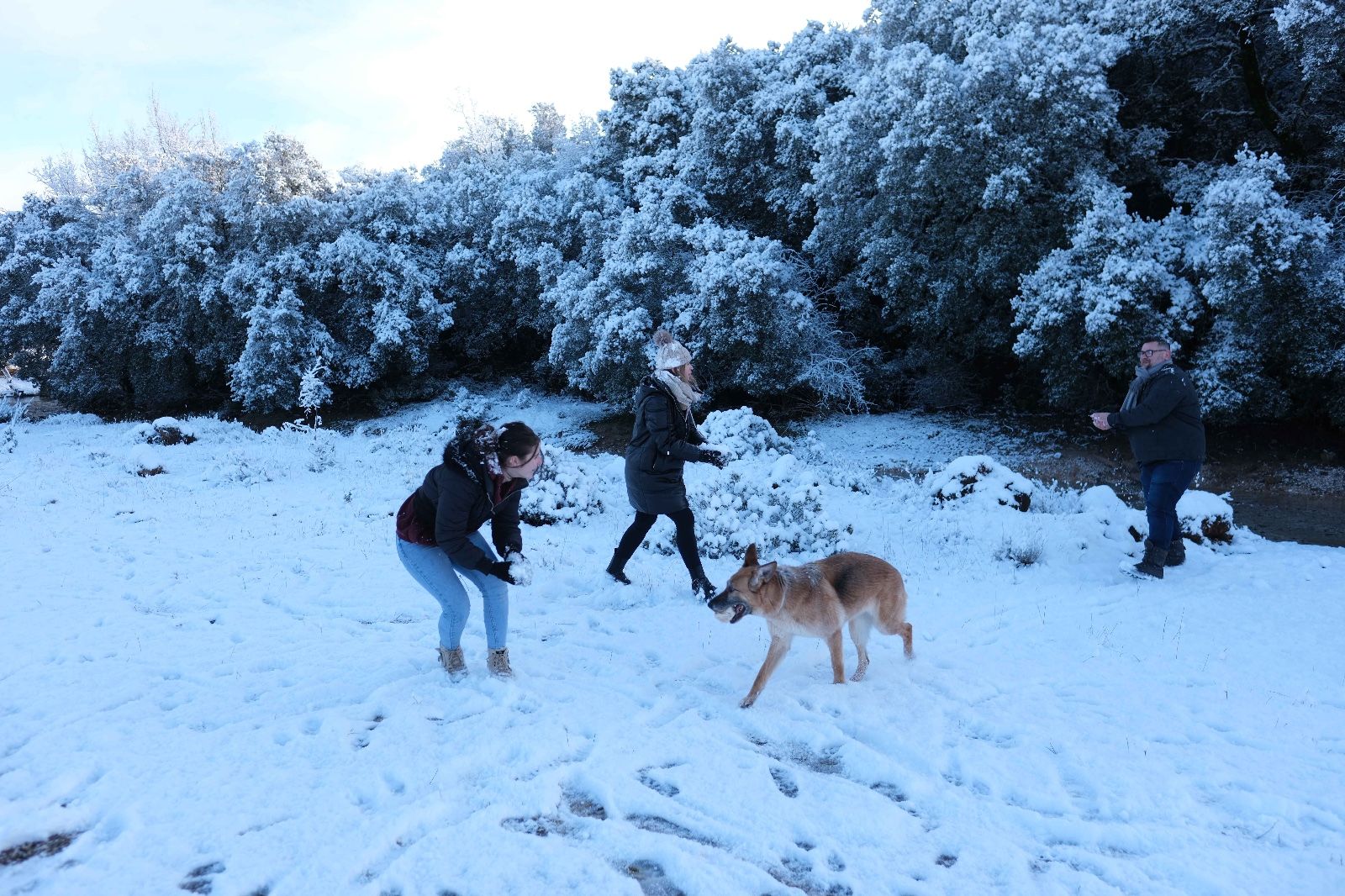 La nieve tiñe de blanco la Serranía de Ronda