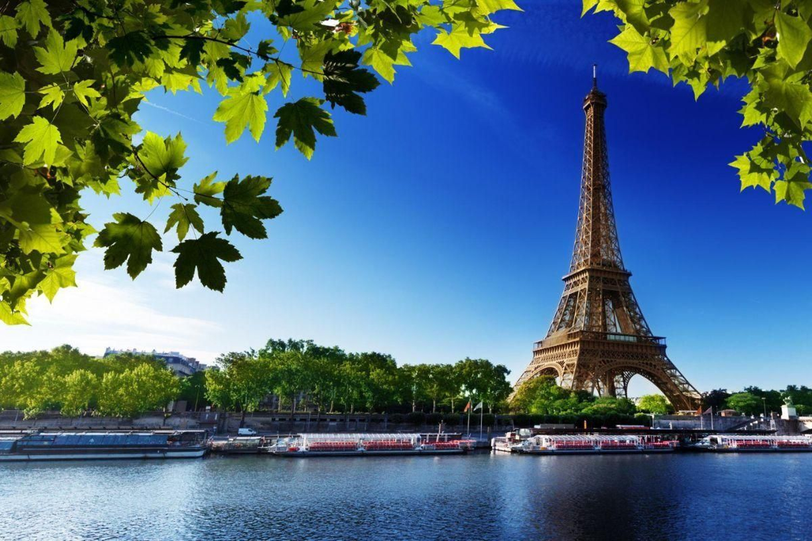 Conoce la magia de la noche Parisina