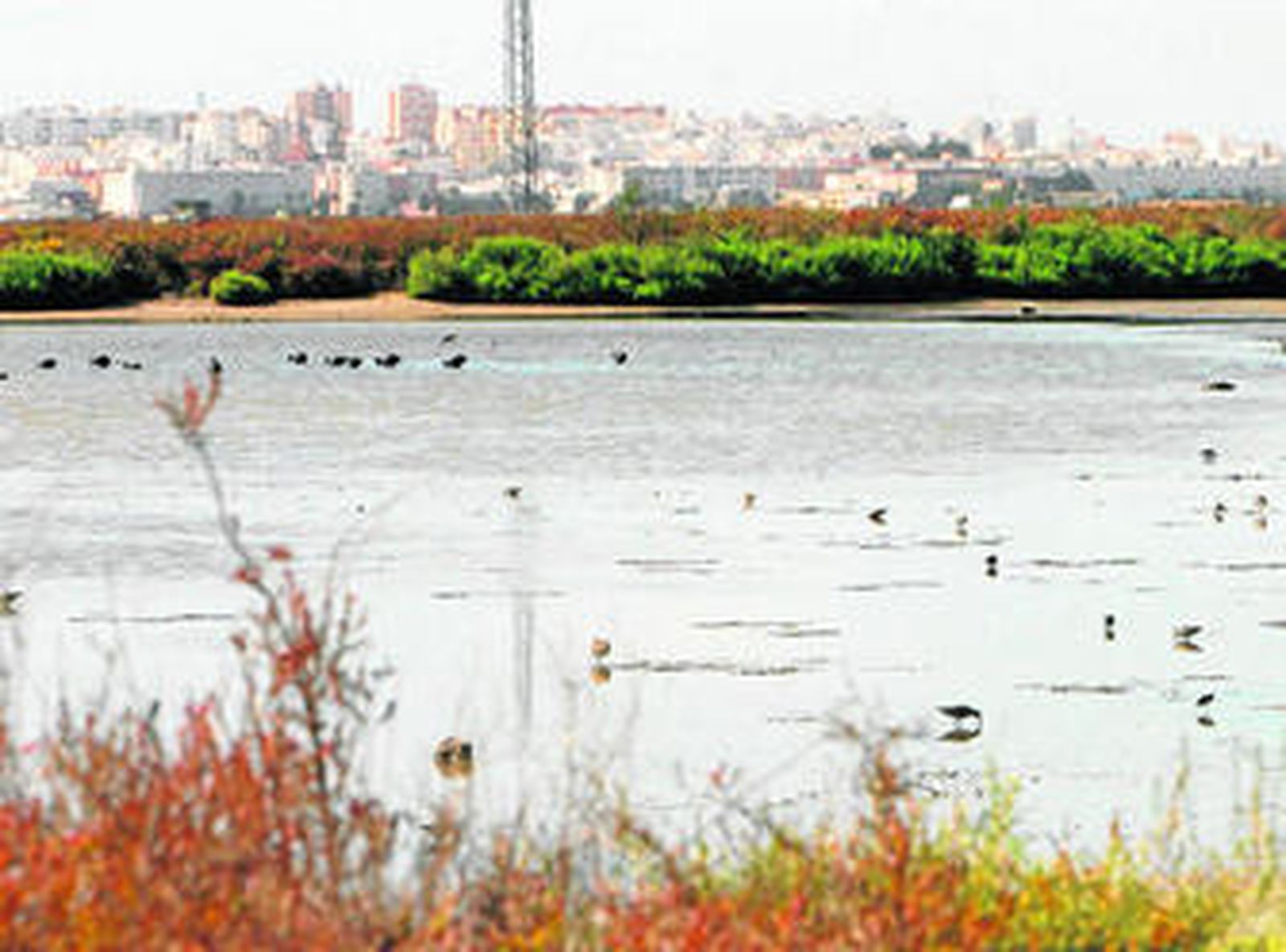 Imagen de una zona de esteros del municipio.