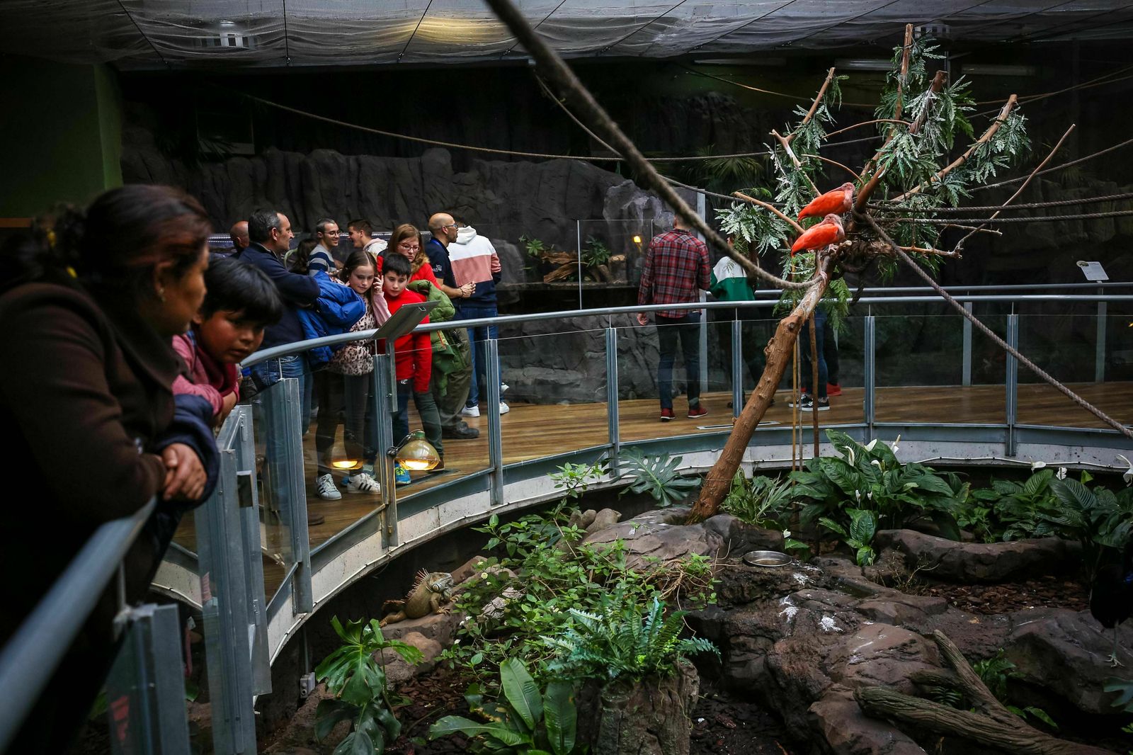 Visitantes en el Biodomo