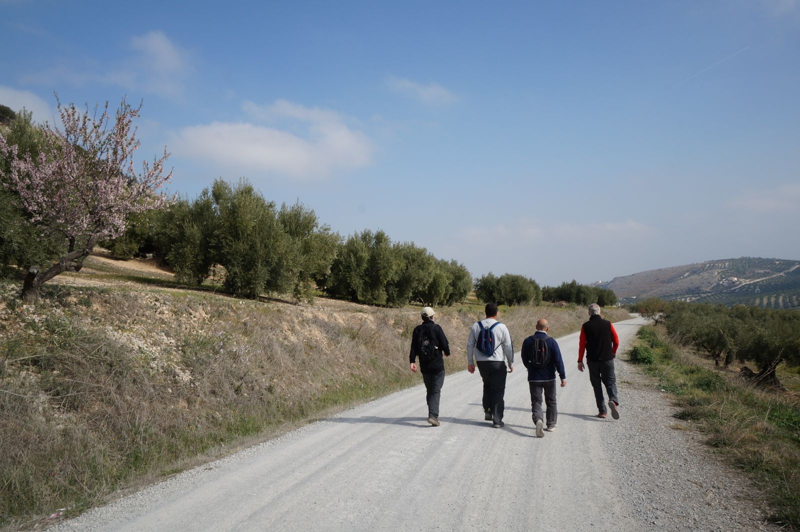 Un camino en la provincia de Córdoba.