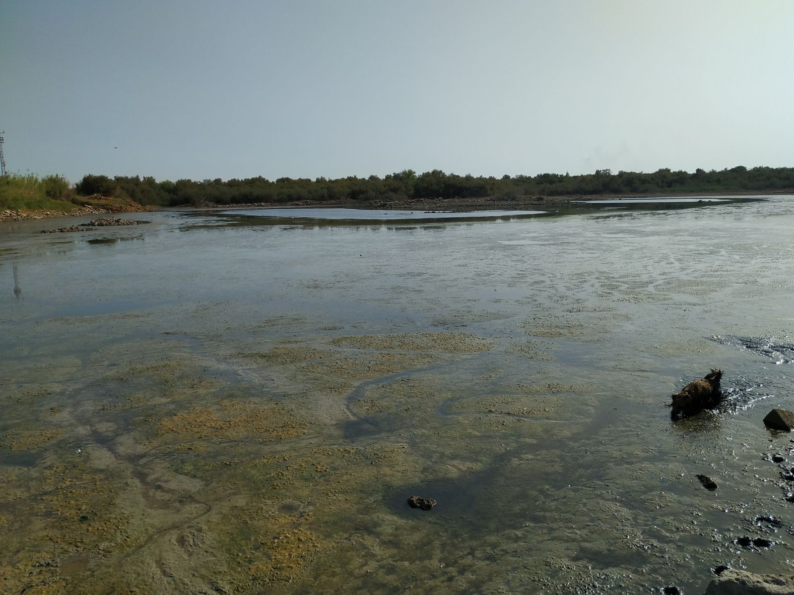 La Laguna de la Mejorada se seca
