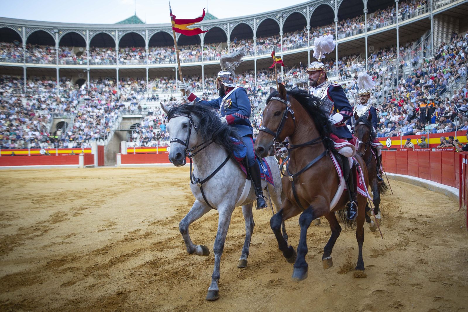 La exhibición del Ejército en la Plaza de Toros de Granada, en imágenes