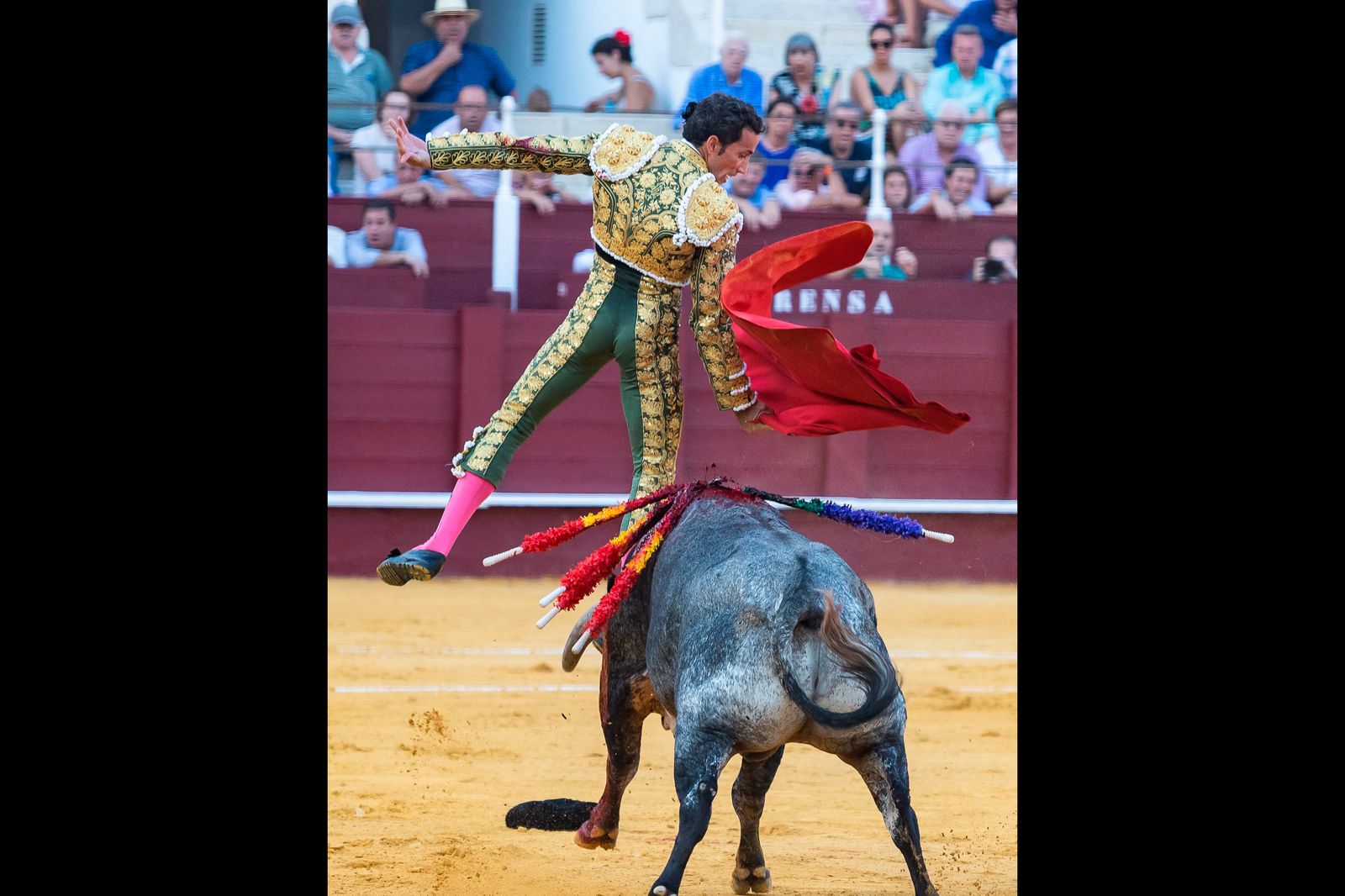 Percance grave a David de Miranda ante su primero de Pallarés en Málaga