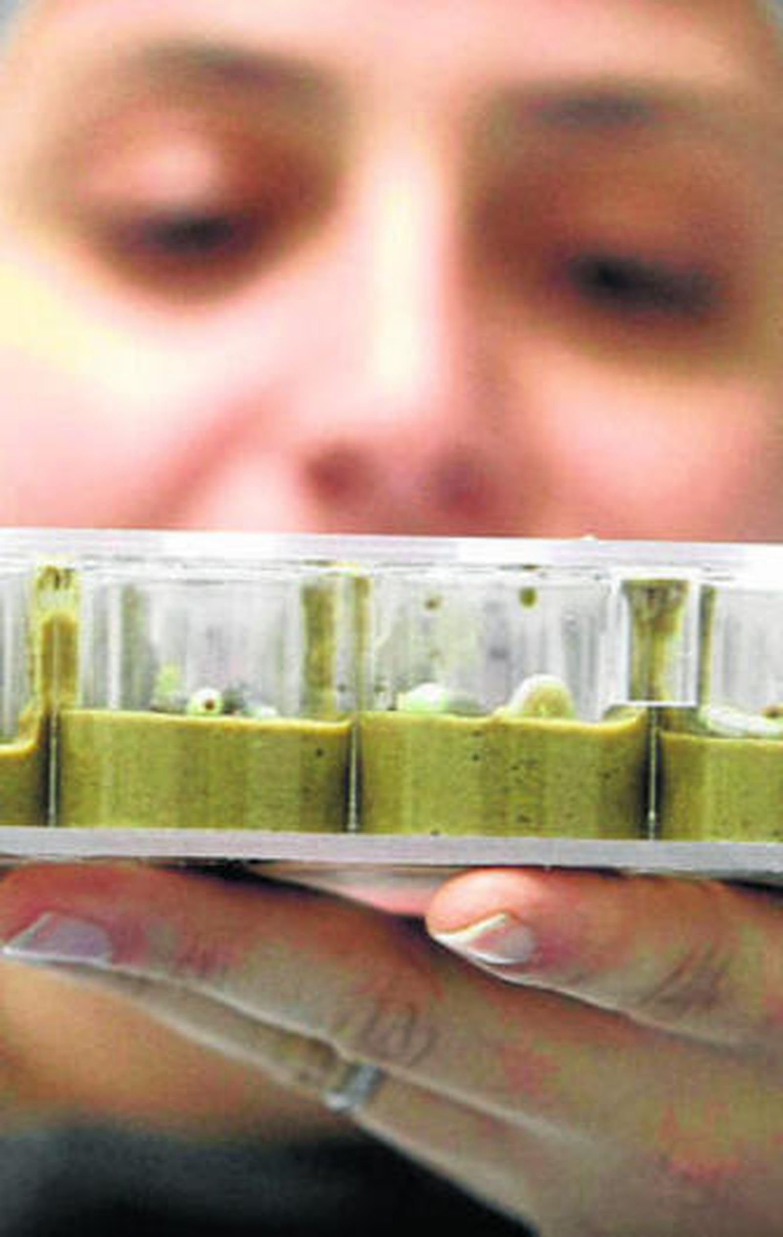 Una empleada de Bionaturis con unas muestras de laboratorio.