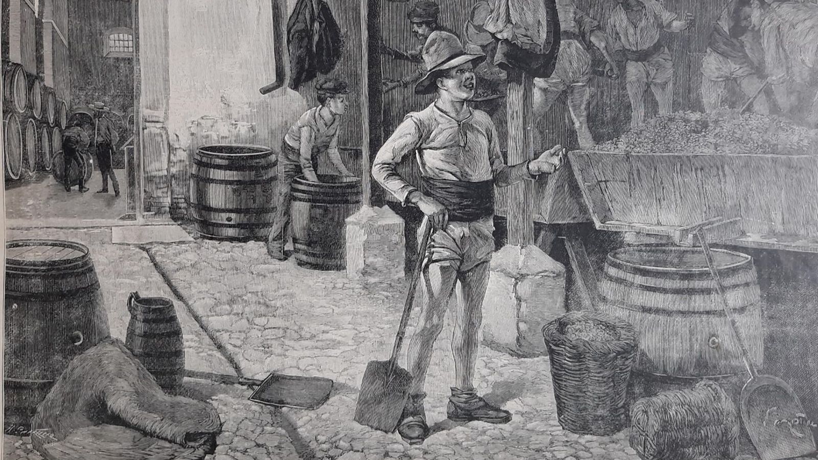 Grabado Vendimia en Jerez (1898) de Fernando Fernández Mota.