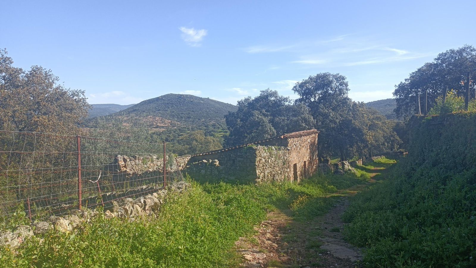 El camino que sale de Campofrío es muy tranquilo y bonito.