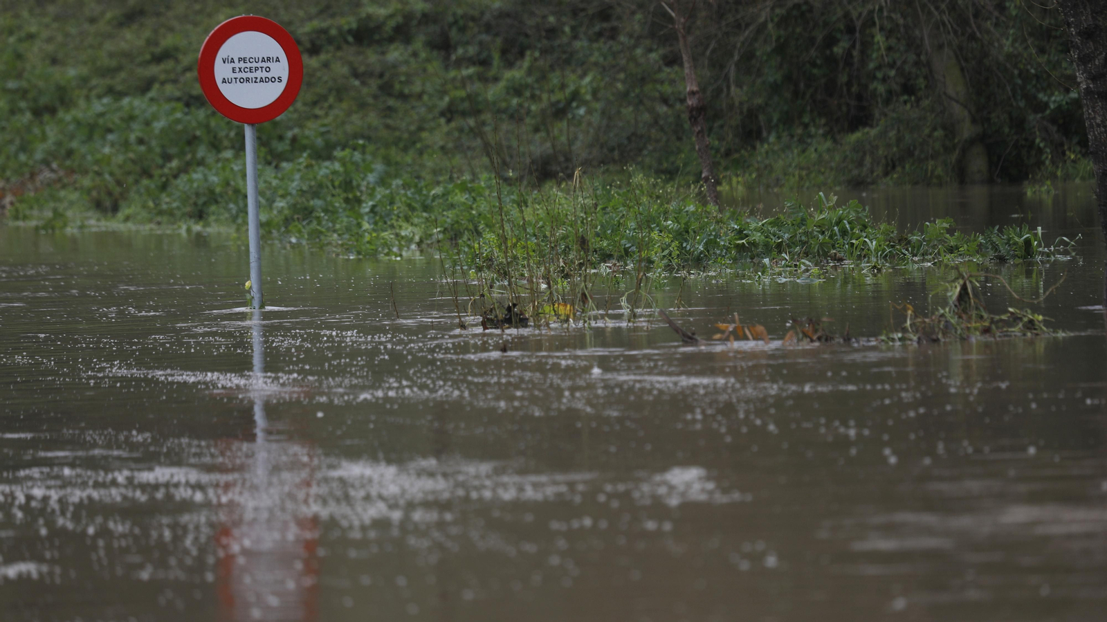 Carreteras cortadas por las lluvias en Algeciras y Los Barrios