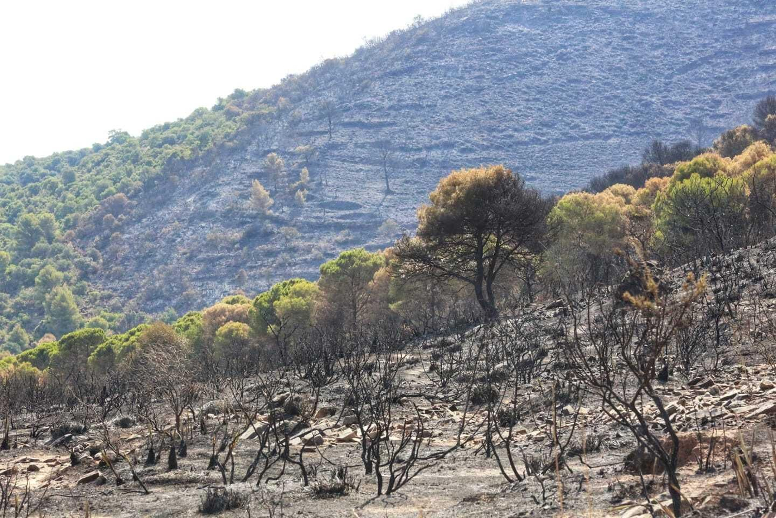 Las fotos de las zonas arrasadas por el incendio en la Sierra de Mijas