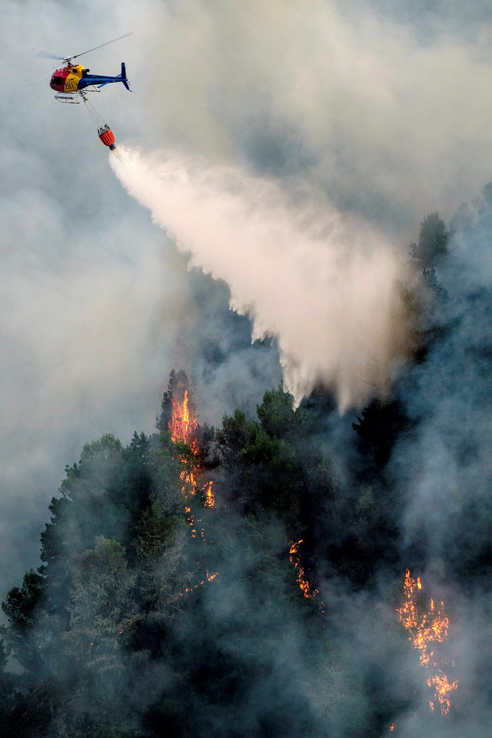 Las imágenes del incendio forestal en Gran Canaria.