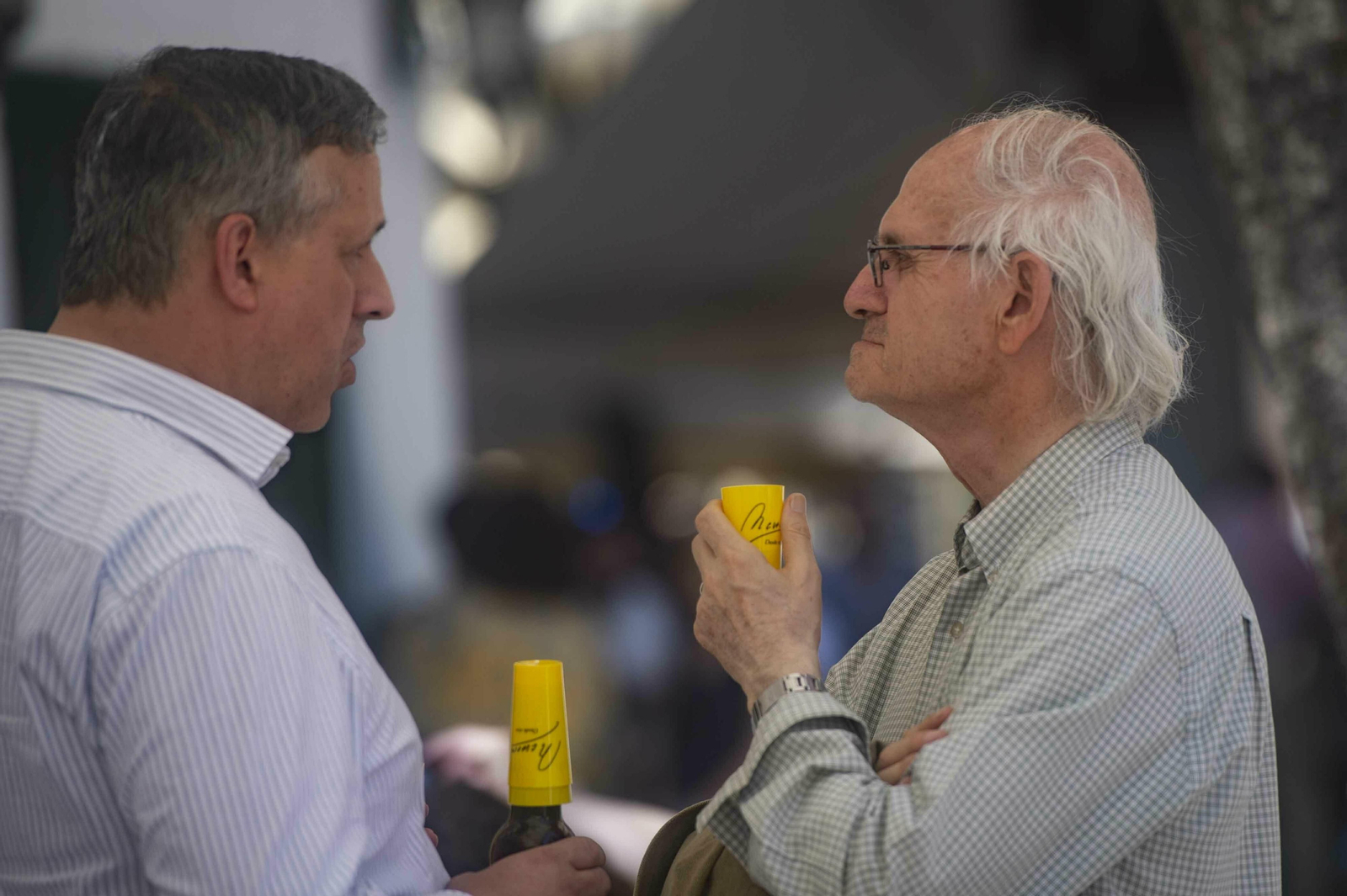 Las Cruces de Mayo de Córdoba, en imágenes