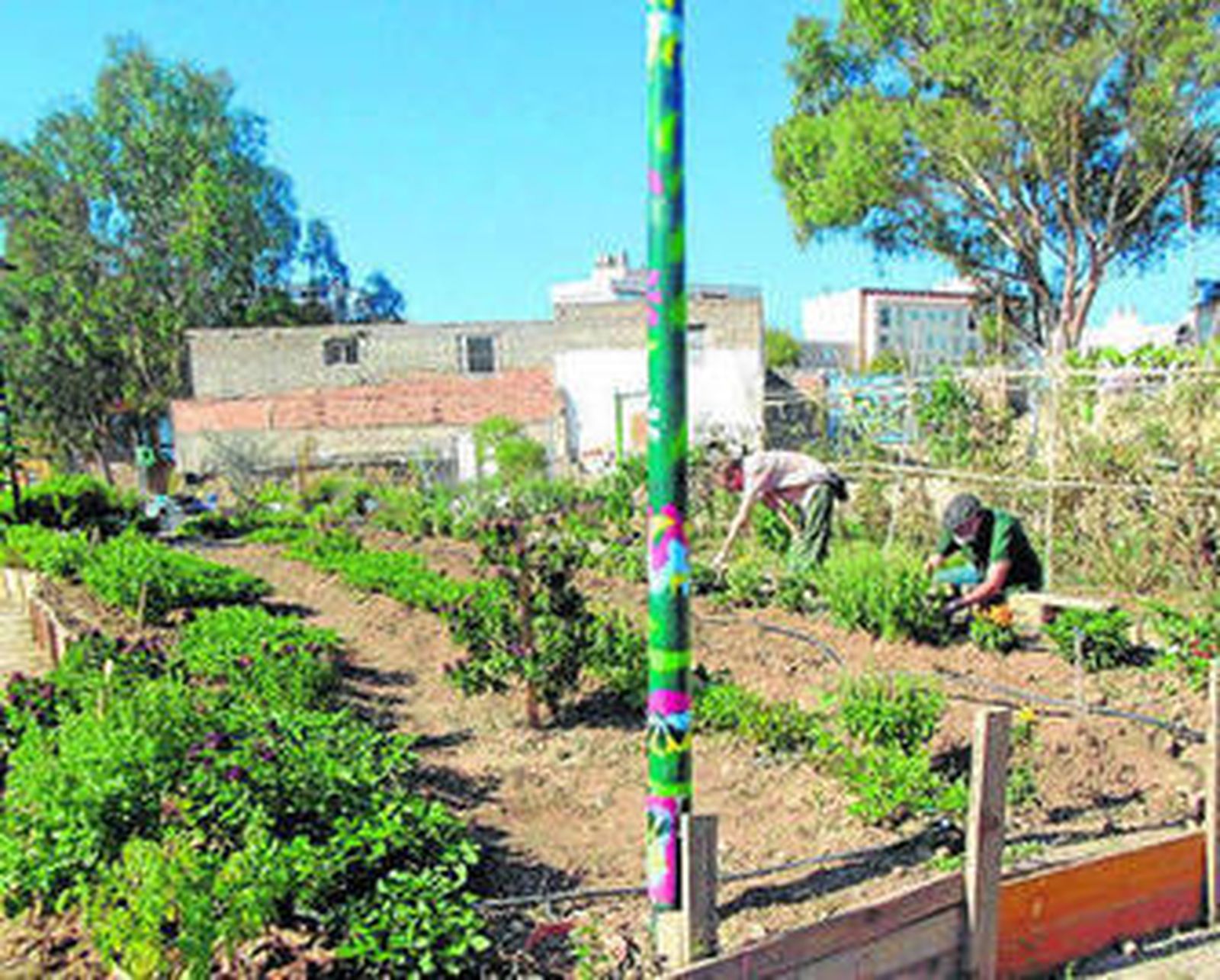 Fernando y Jorge trabajando en el huerto urbano de El Caminito.