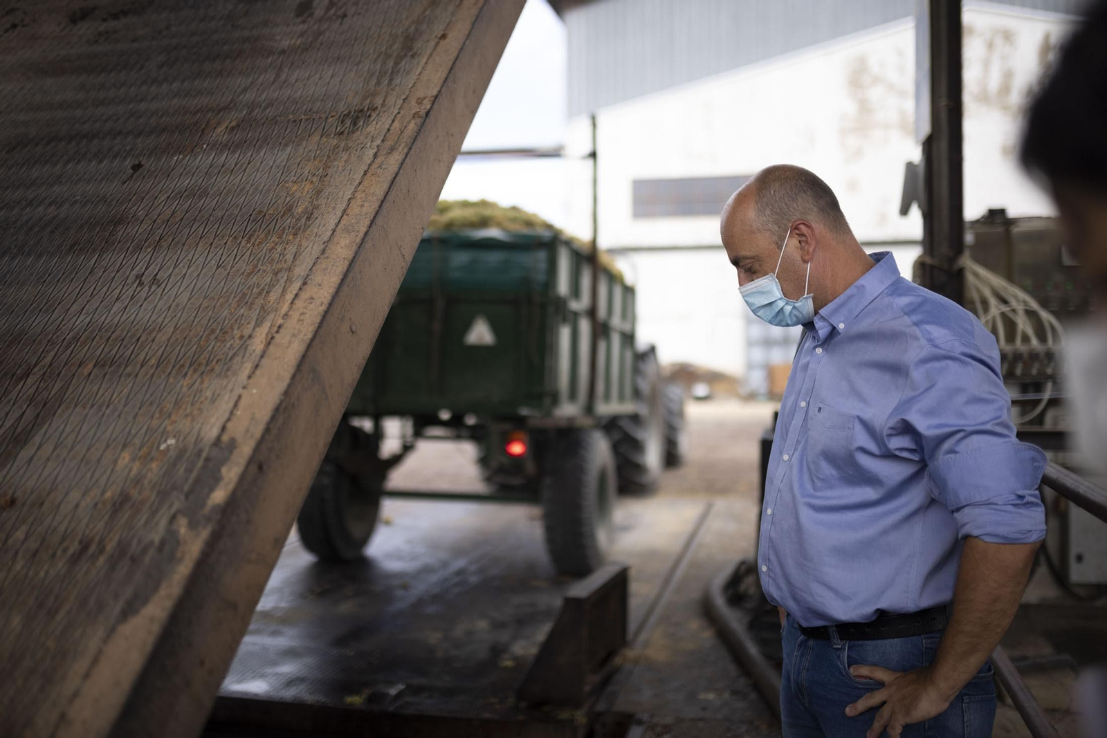 Imágenes de la vendimia en el Condado de Huelva