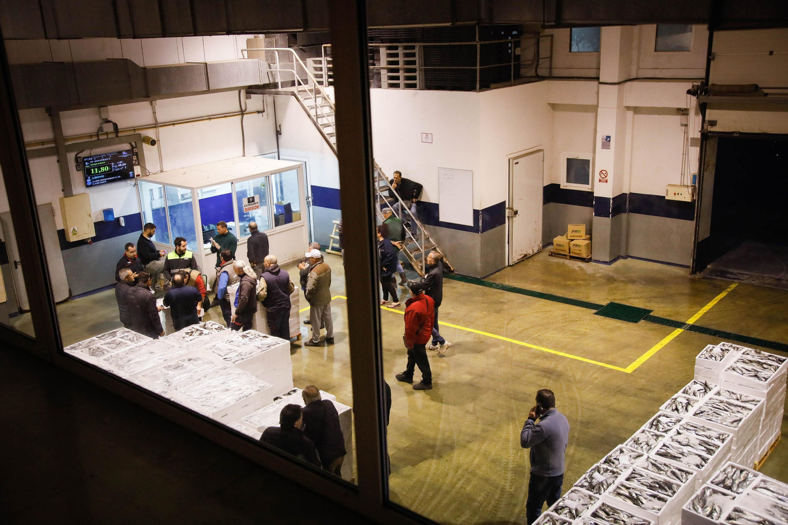 Te contamos en imágenes como ha sido la descarga de las traiñas en la lonja de Almería