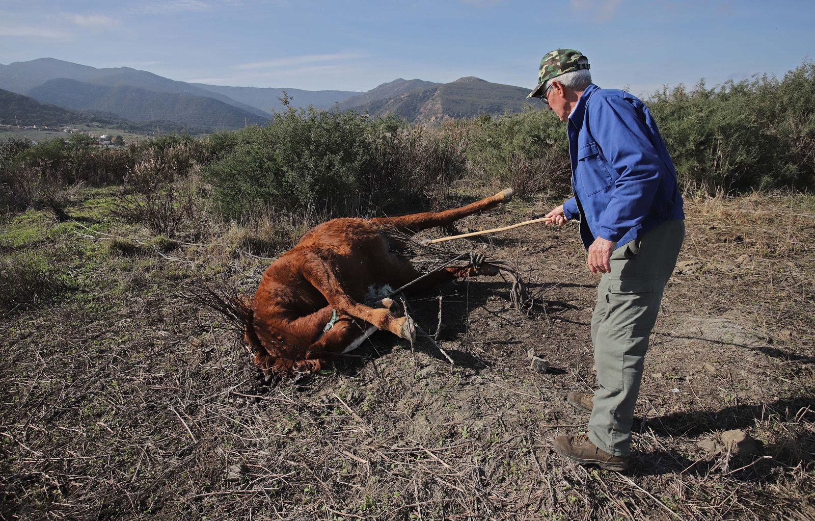 Fotos de los vertederos y escombreras ilegales en la zona de Alamillos Oeste en Algeciras