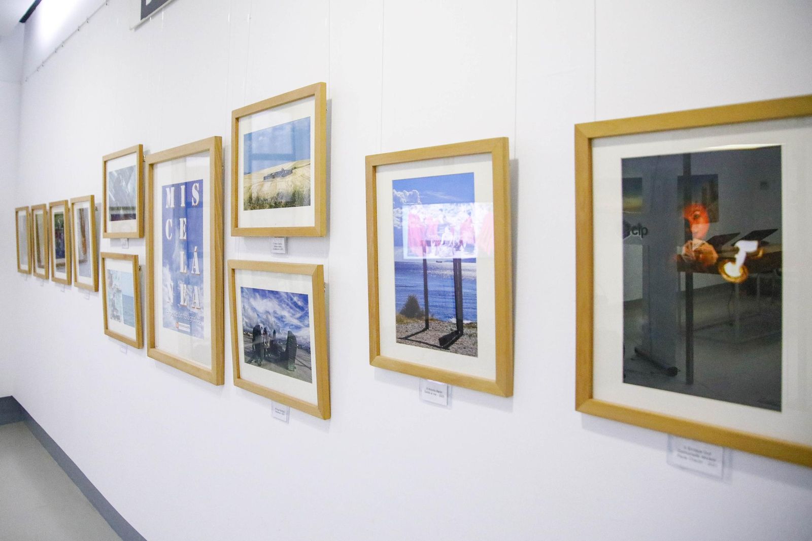 Imágenes de la inauguración de la exposición Miscelánea