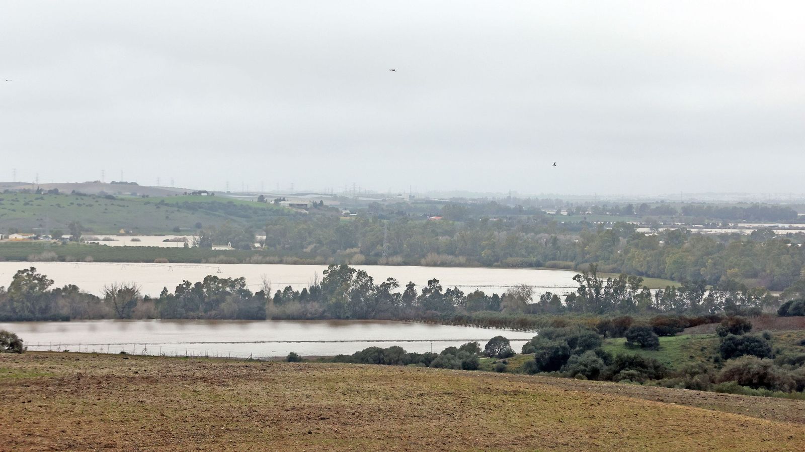 Ruta por la zona rural inundada de Jerez