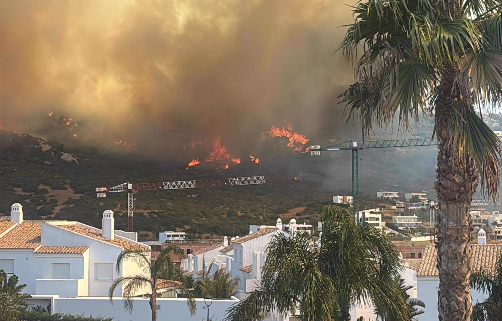 Imágenes del incendio de Tarifa, el segundo en menos de una semana