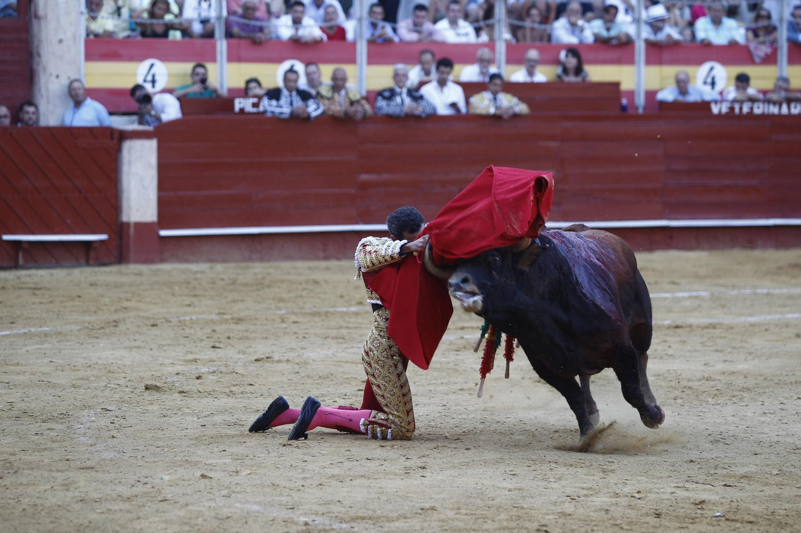 Las mejores imágenes de los toreros Fortes, Juan Ortega y David de Miranda en la Feria de Almería 2025