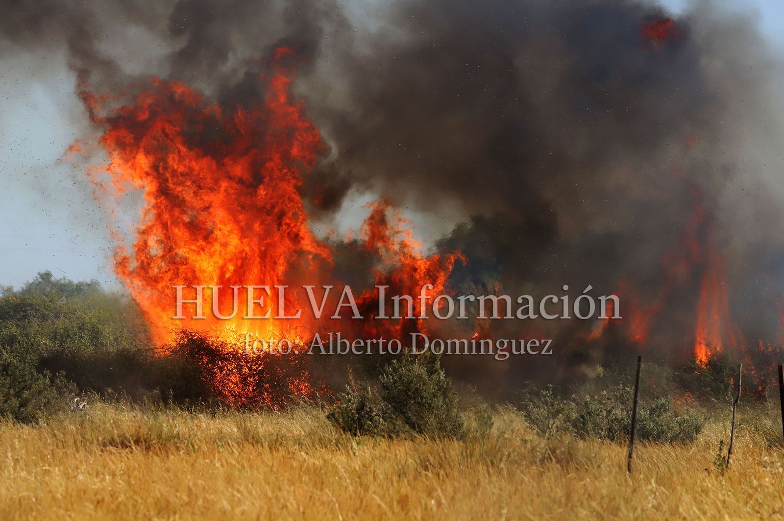 Imágenes del incendio en Doñana