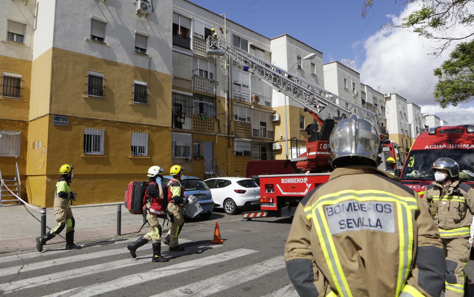 Imágenes del dispositivo policial para encontrar al autor del atropello