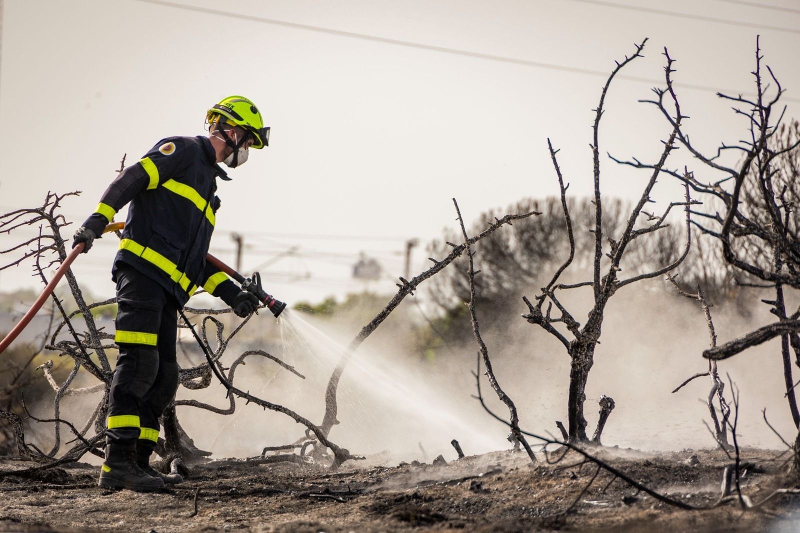 Imágenes del incendio en el Tiro Pichón