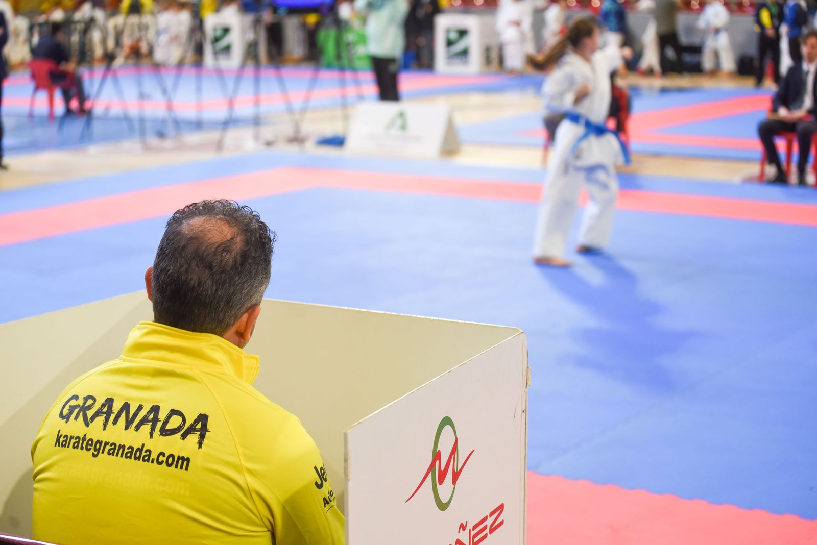 Las fotos del vibrante Campeonato de Andalucía de kárate infantil de Córdoba