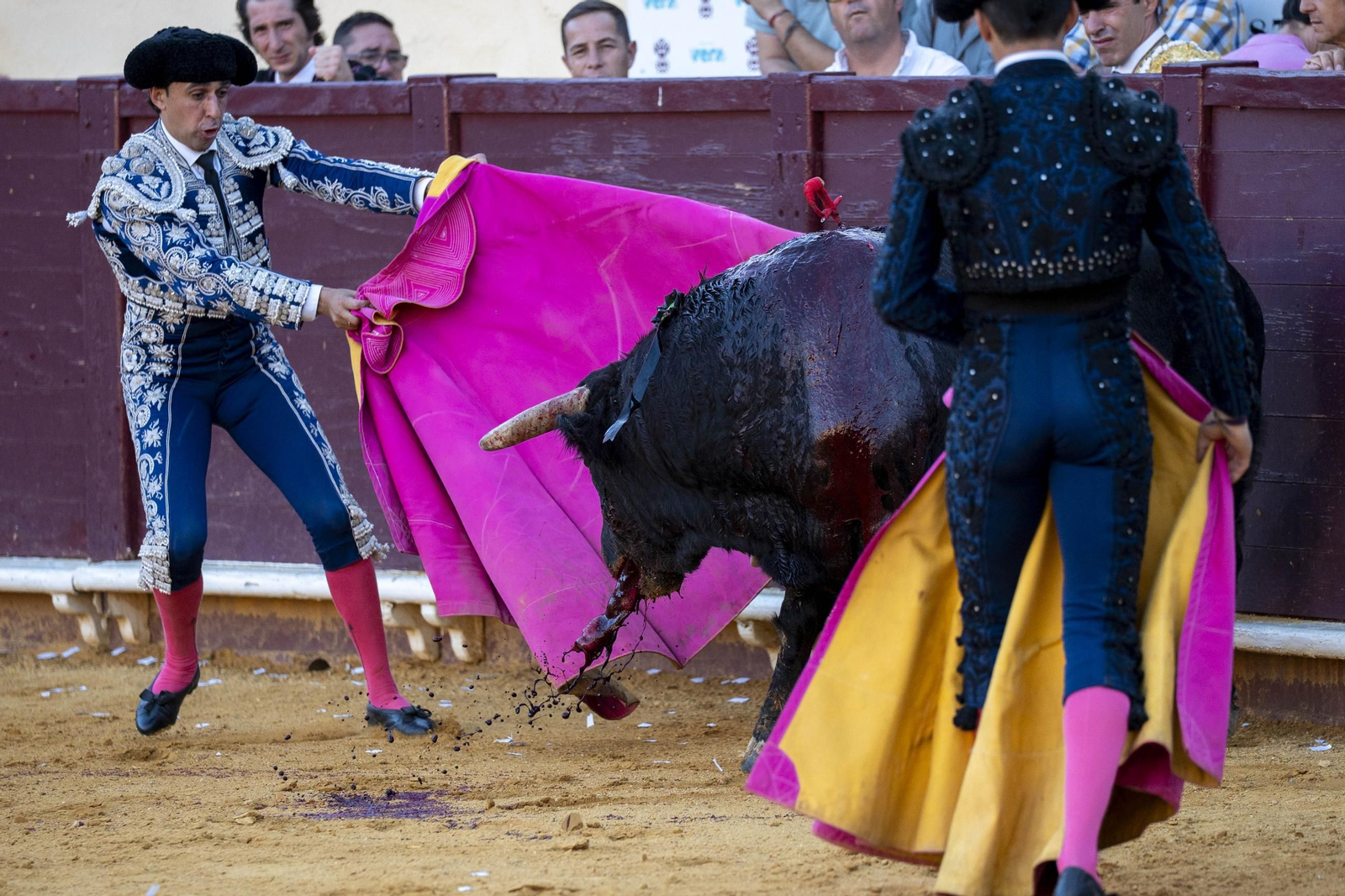 Las imágenes de los toros en Vera