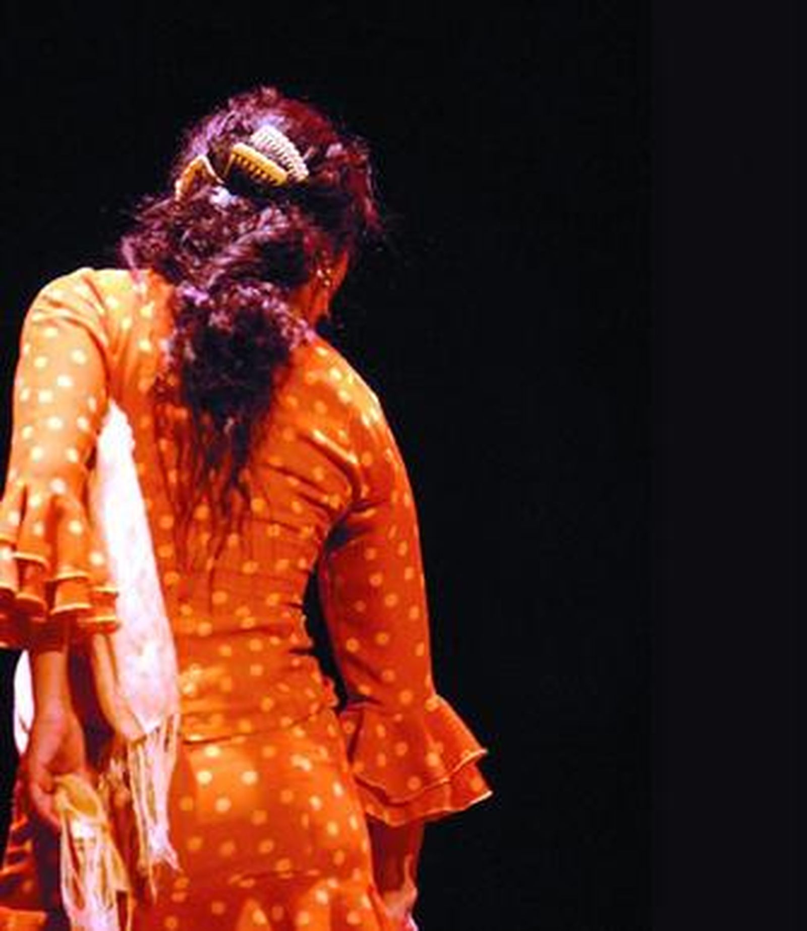 Palmas por Loles delCerro