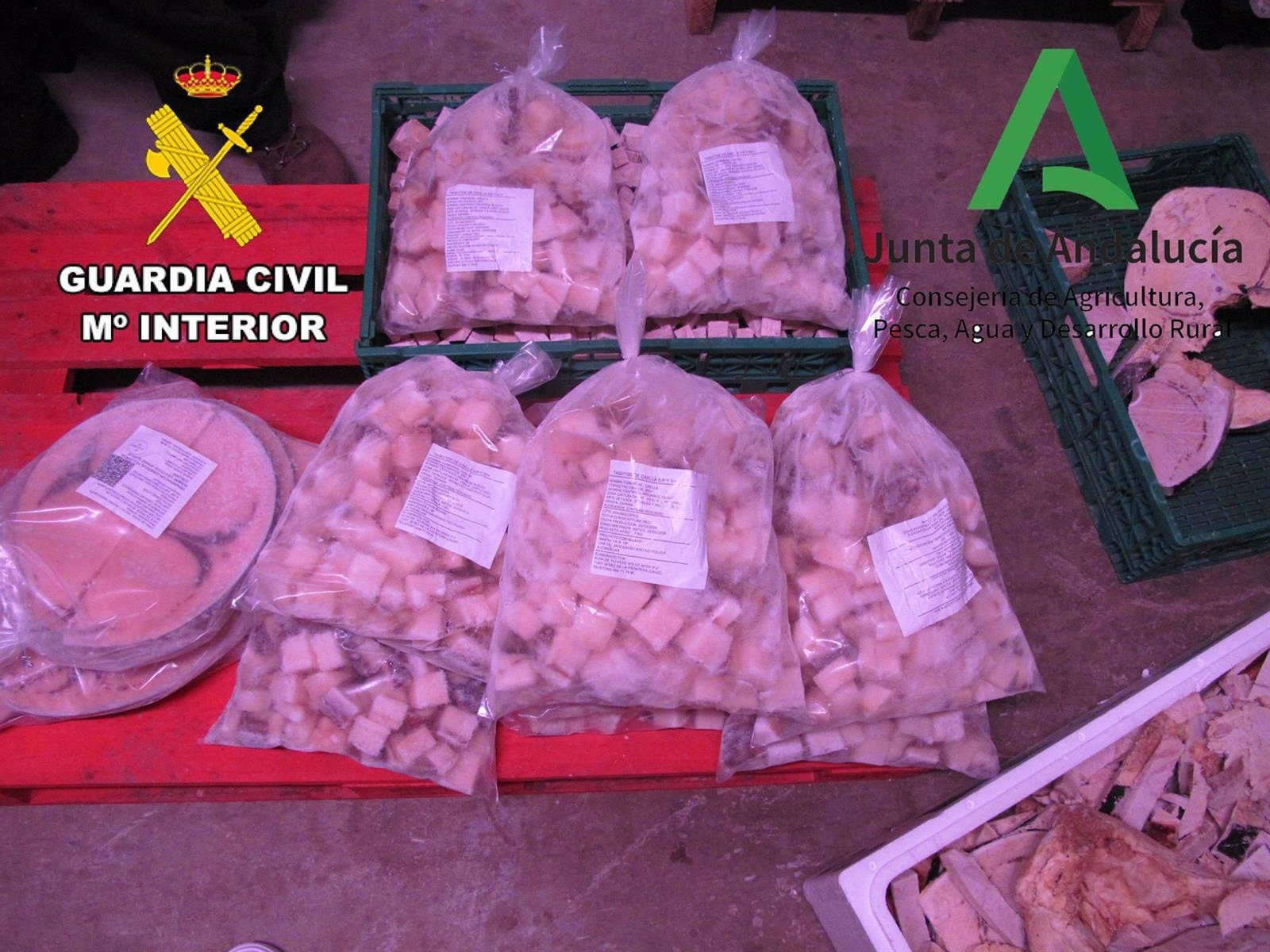 Productos intervenidos.