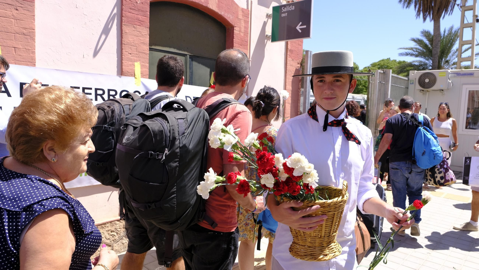 Claveles en defensa del tren en la provincia de Almería, en imágenes