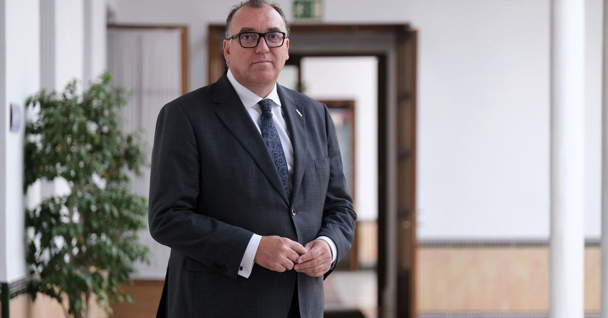 Andalucía pedirá hoy al Gobierno la gestión compartida de los aeropuertos