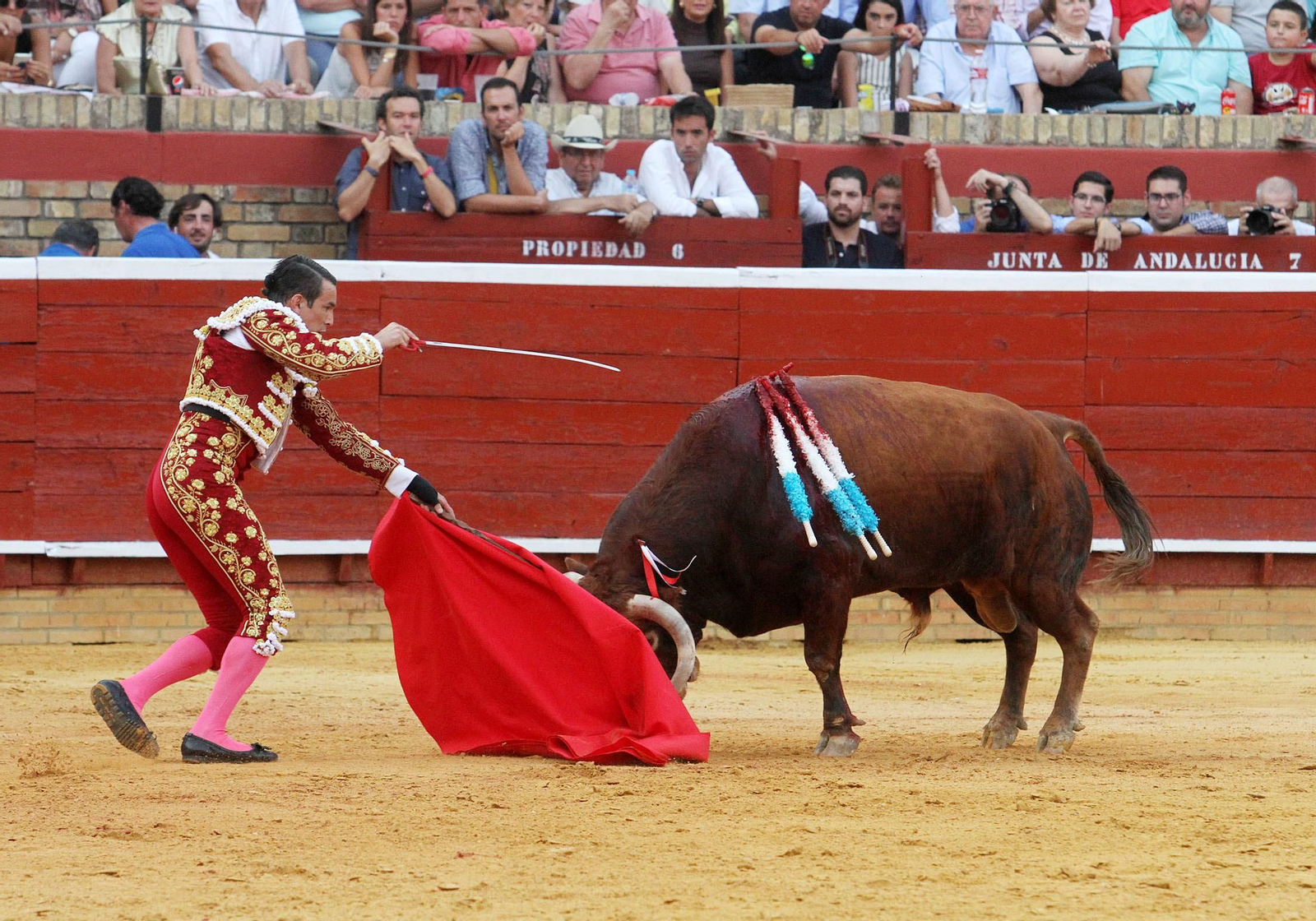 Imágenes de José María Manzanares durante la corrida de esta tarde en la Plaza de toros La Merced