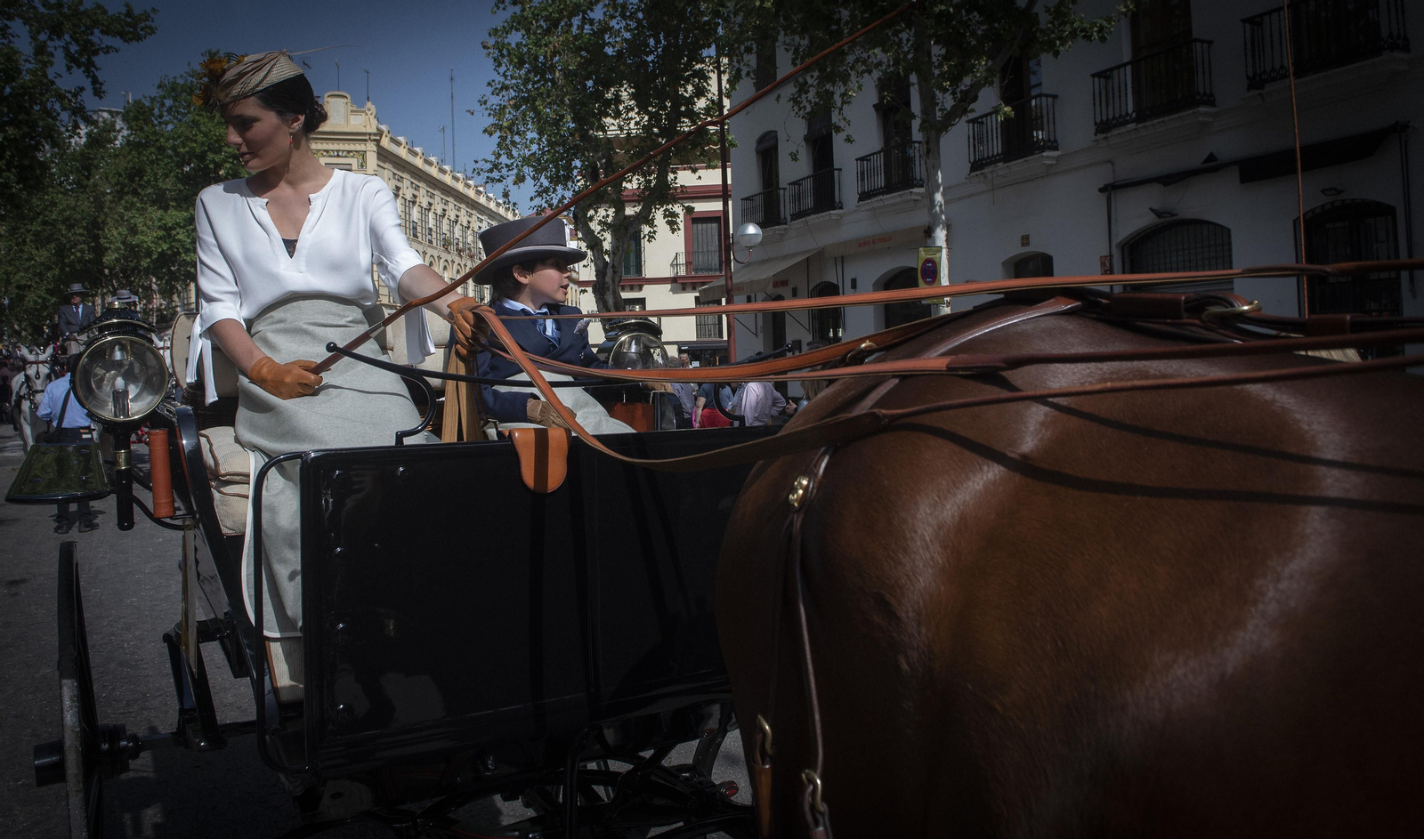 Las imágenes de la Exhibición de Enganches en la Maestranza