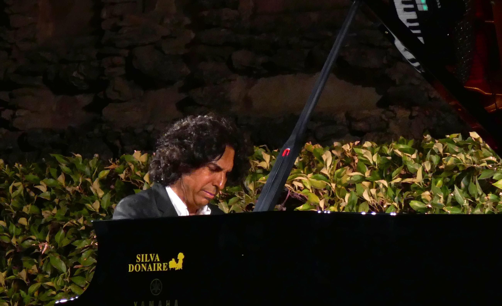 Diego Amador en los jardines el Alcázar.