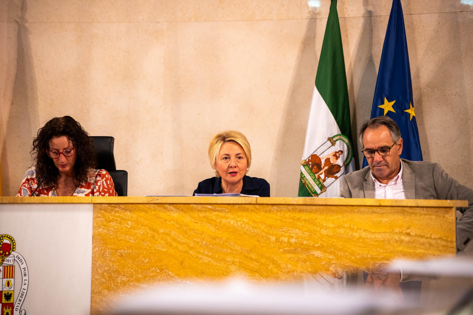 Eloísa Cabrera, en el Pleno celebrado el jueves