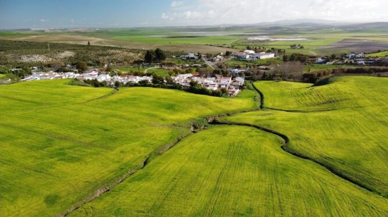 Vista aérea de los terrenos sobre los que se asienta el yacimiento de Asta Regia con Mesas de Asta al fondo.