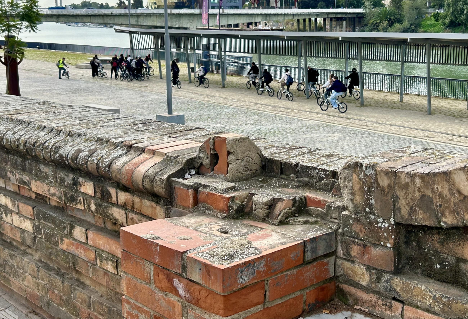 Abandono en los bancos del Paseo de las Delicias