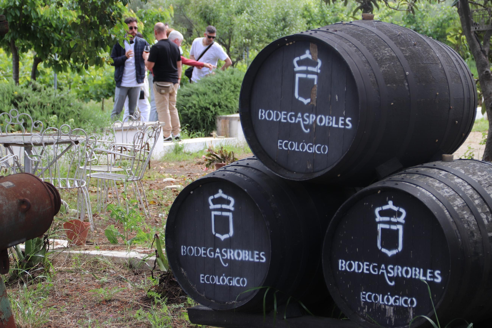 El Festival Patios de Bodega de Montilla, en imágenes