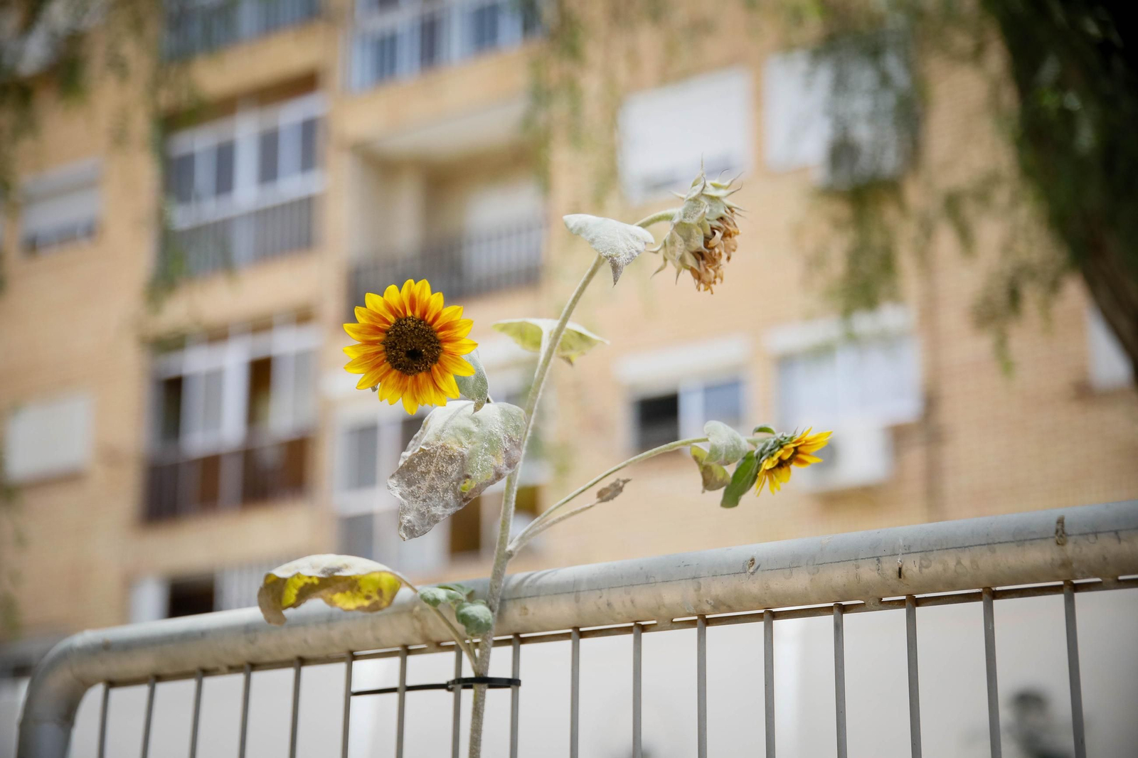 Imágenes de las quejas vecinales ante los cortes de luz en el barrio de pescadería