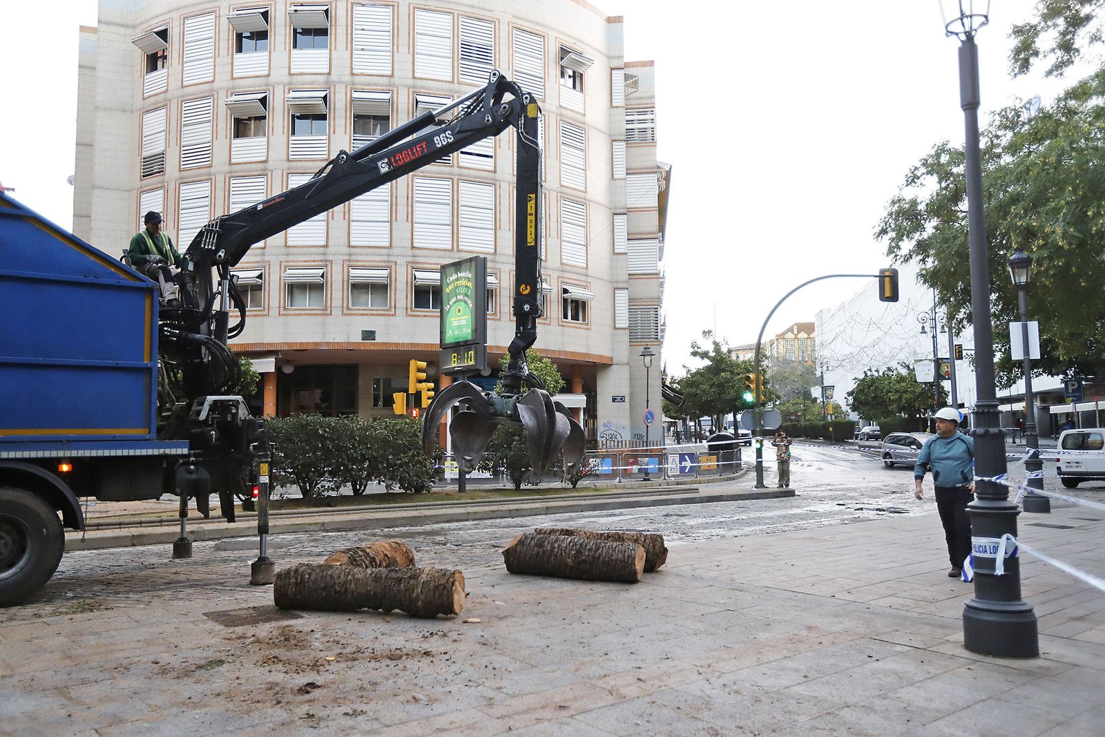 Imágenes de la tala de la emblemática Palmera de Huelva